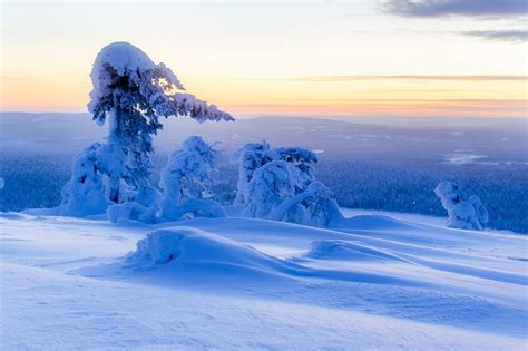 Winter Finland Lapland Region Aurora Snow Night Trees Hd