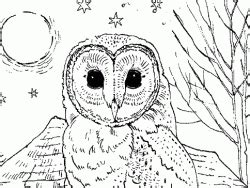 Download the strong women coloring sheet. Barn Owl and flowers colouring page - Barn Owl Trust