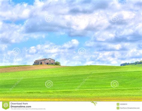 Green Grass Field Landscape Under Blue Sky And Clouds