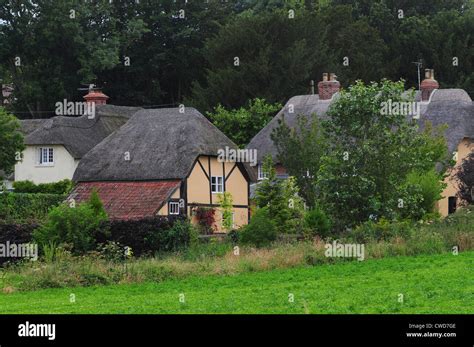 A View Of Some Thatched Cottages At New Town Near Witchampton Dorset Uk