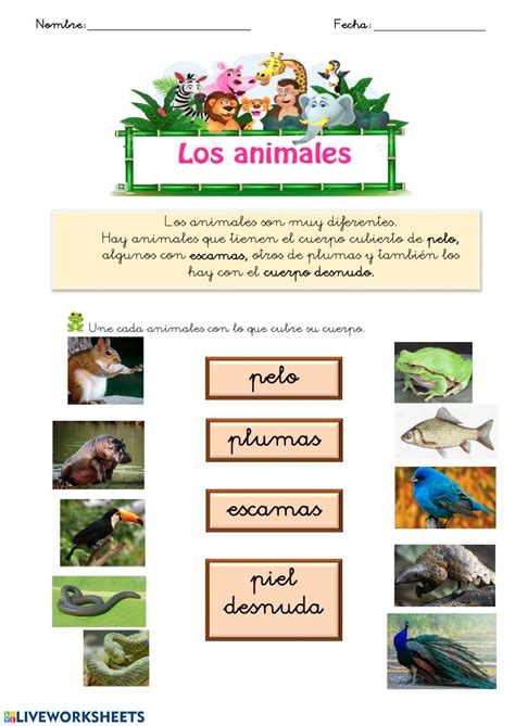 Animales Y Su Habitat Worksheet Actividad De Clasificación De