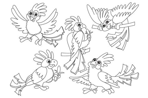 Black And White Parrot Clipart 10 Free Cliparts Download Images On