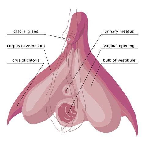 Oral Clit Orgasm Telegraph