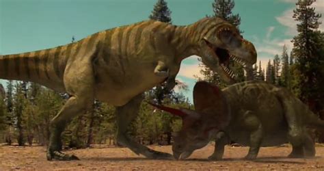 Triceratops Killed A T Rex By Willdinomaster55 On Deviantart