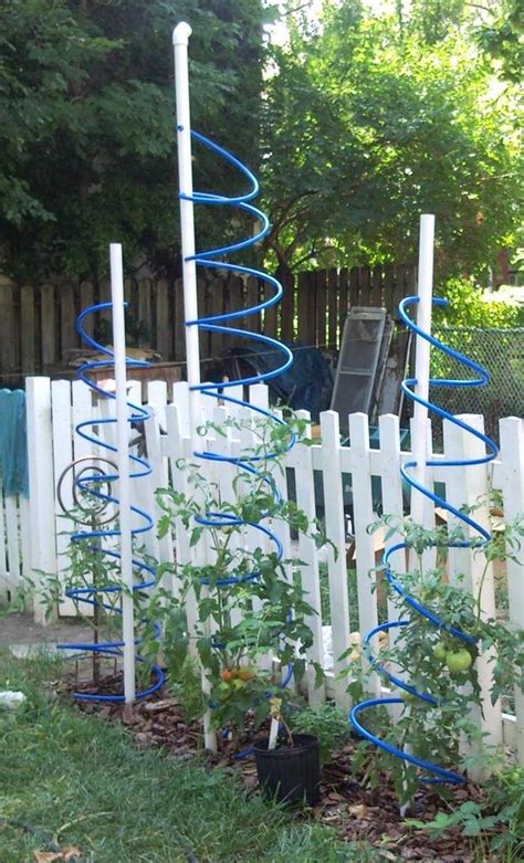 Tormato Tomato Cage With Trellis And Nutrient Delivery System Diy