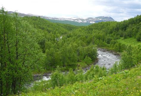 Ammarnäs är porten till vindelfjällen med ett av europas största skyddade naturområden. cropped-Juomavaare-008.jpg | Kinna Persson, Ammarnäs