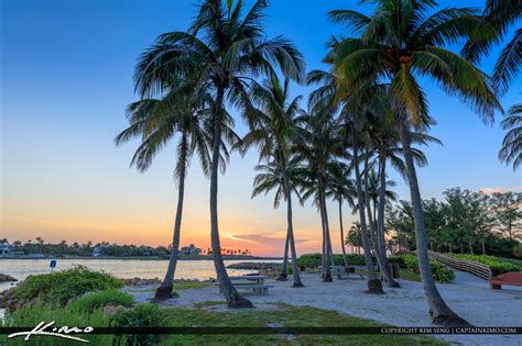 Dubois Sunrise Coconut Tree Jupiter Inlet Jetty Hdr Photography By
