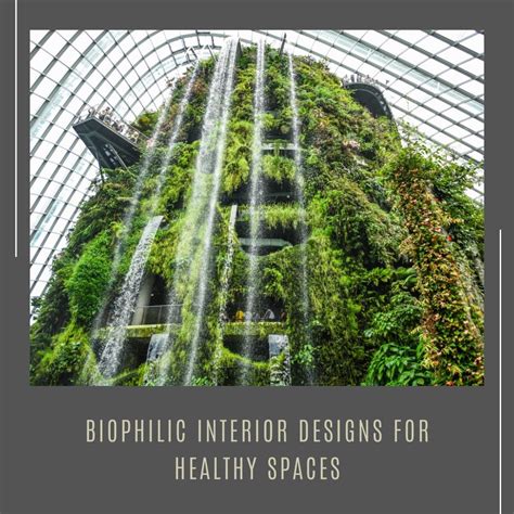 Biophilic Designs In Interior Decoration For Healthier Environments