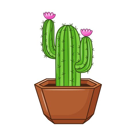 Vector Cartoon Cactus In Pot Indoor Succulent Plant With Thorns And