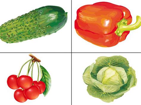Картинки фрукты и овощи для детского сада Картинки овощей для детей