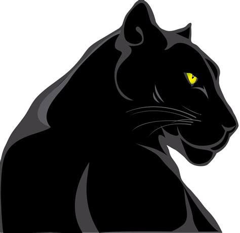 Agregar 82 Pantera Negra Dibujo Animal Muy Caliente Vn