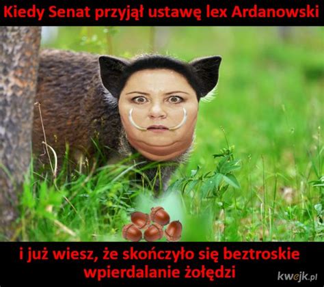 She graduated polish studies and art history from university of warsaw. Dorota Wellman Meme : Mao Deepfake Youtube - She graduated ...