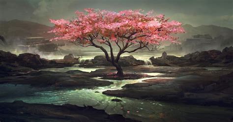 17 Cherry Blossom Wallpaper Anime 1920x1080 Tachi Wallpaper