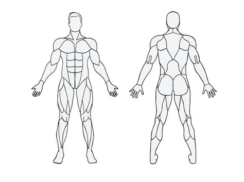 Maybe you would like to learn more about one of these? Pin by Mmoncoeur on anatomy reference | Fitness motivation ...
