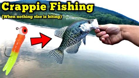 Crappie Fishing With Crappie Magnets From The Bank Hot Summer Days