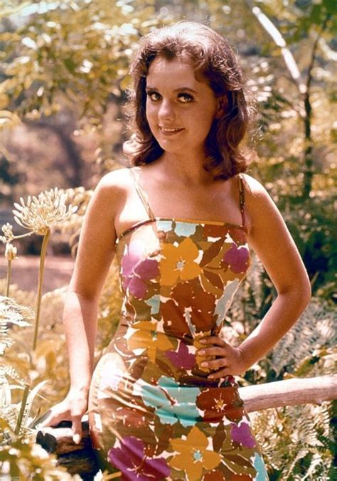 Dawn Wells On Tumblr