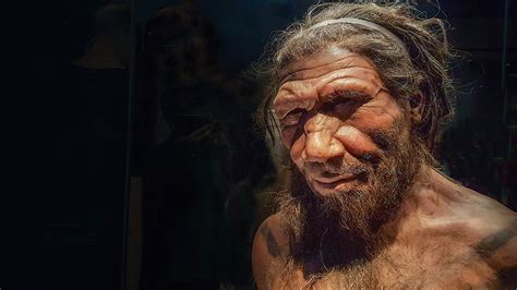 Africans Carry Surprising Amount Of Neanderthal Dna Science Aaas