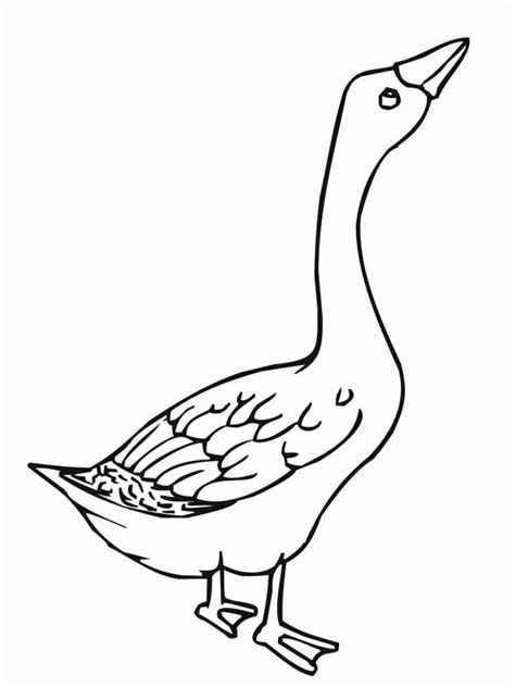 Explain to them how geese make nests. Baby Goose Coloring Page - Coloring Home
