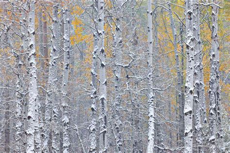 Peter Lik Style Prints Photography And Galleries Aaron Reed