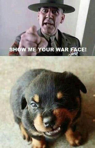 Show Me Your War Face Military Humor