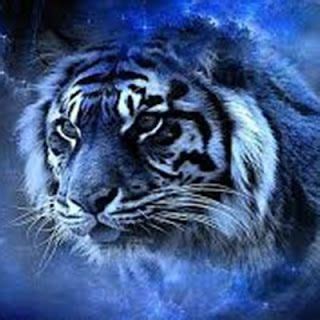 Maybe you would like to learn more about one of these? Paling Keren 24+ Gambar Wallpaper Harimau - Gani Gambar