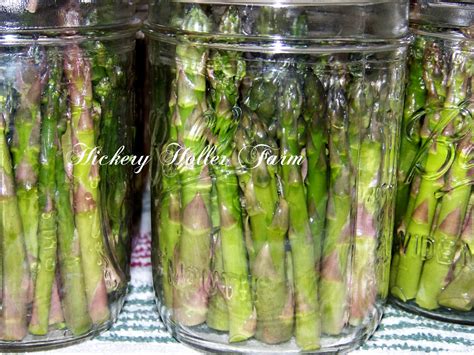 Hickery Holler Farm Canning Asparagus