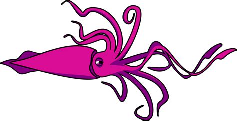 Clipart Squid