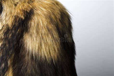 Fur Texture Raccoon Dog Fur Stock Photo Image Of Fell Stripe