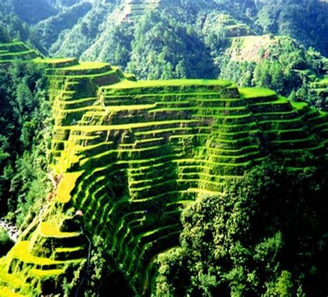 Travel Banaue Rice Terraces Quick Facts About The Eighth Wonder Of The World ~ Travel