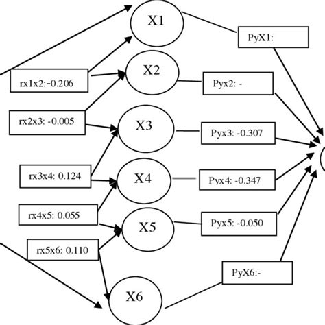 The Correlation Of Grain Yield Components And Correlation Coefficients