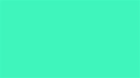 Hex Color Code 40f5bb Bright Turquoise Color