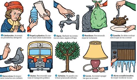 Qué Es Y Como Cuidar El Medio Ambiente Acciones Necesarias Ecología Hoy