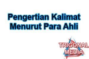 Pada pakar dibidang pemasaran telah mengemukakan maksud dari pengertian itu yaitu manusia harus menemukan kebutuhannya terlebih dahulu demikianlah pembahasan mengenai definisi dan pengertian pemasaran menurut para ahli semoga. Pengertian Kalimat Menurut Para Ahli - Trigonal Media