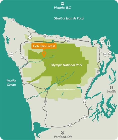Visit The Hoh Rain Forest Things To Do The Olympic Peninsula