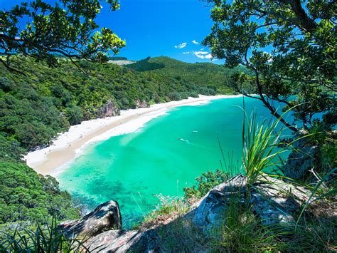 The Best Beaches In New Zealand Photos Cond Nast Traveler