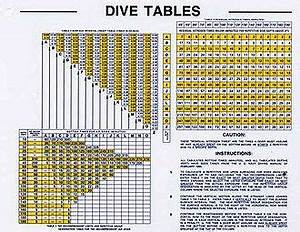 Waterproof Dive Tables For Charting Depth And Time Chart For Scuba Dive