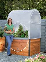At 29 high, this elevated garden bed is the perfect height for easy growing. Mini Greenhouse Elevated Cedar Raised Bed with Grow ...