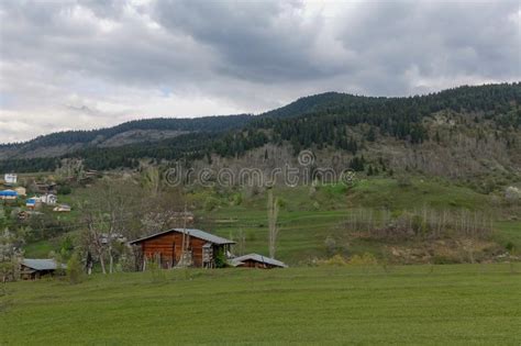 Adil aydin caddesi , i̇nonu caddesi , artvin şavşat i̇zle yeni cadde 1 , yeni cadde 2 , cumhuriyet caddesi 1 , cumhuriyet caddesi 2. Traditional Village Houses Artvin Savsat Stock Photo ...