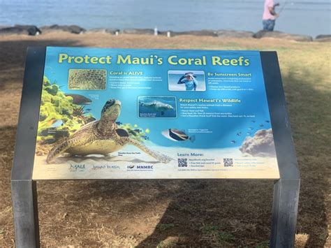 The Importance Of Respecting And Protecting Hawaiis Coral Reefs