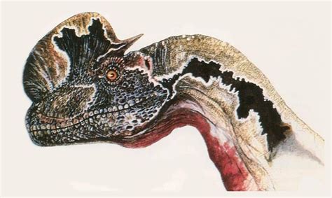Jurassic Park Concept Art Dilophosaurus Color By Indominusrex On