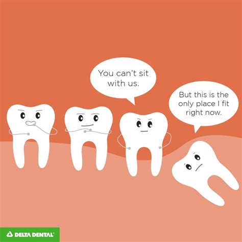 pin on dental life