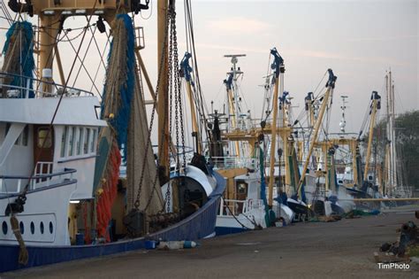 Vissershaven Vlissingen Zeelandnet Foto