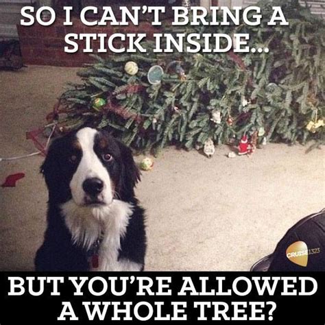 Dog Christmas Tree Meme ~ Funny Joke Pictures