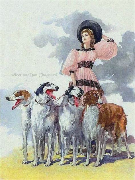 The borzoi is an elegant breed hosting a range of emotions including sensitivity and an innate ability to find entertainment wherever they can. z- Borzois (4) on Walk w Woman | Galgo, Mascotas, Perros