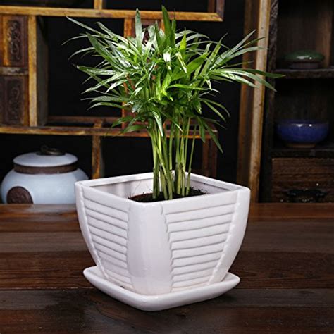 Check spelling or type a new query. White Ceramic Flower Pot / Plant Pot, Square, with ...