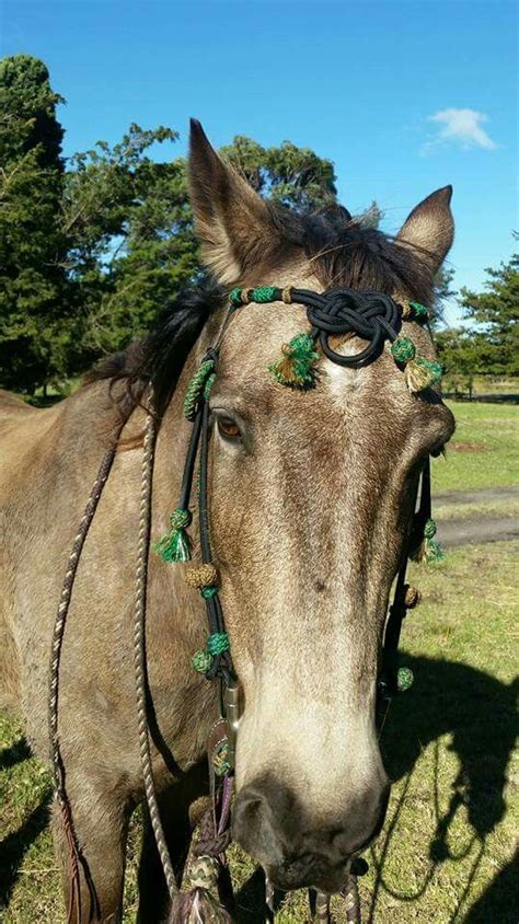 Maybe you would like to learn more about one of these? Paracord braided bridle in emerald green, tan and black ...