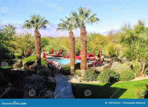 A Beautiful Vacation Location With A Swimming Pool Surrounded By Palm