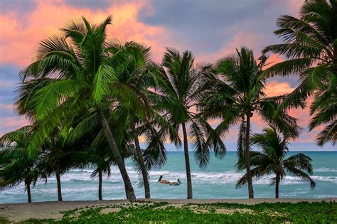 Wallpaper Landscape Sunset Sea Bay Nature Sand Beach Coast