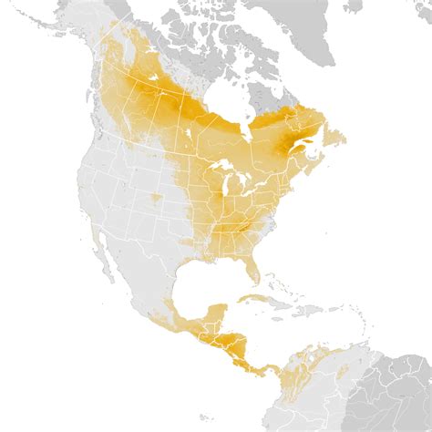 Tennessee Warbler Abundance Map Post Breeding Migration Ebird