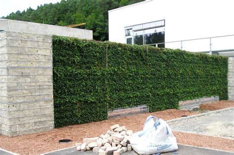 Um sich in ihrem garten effektiv vor lärm oder neugierigen blicken der nachbarn zu schützen, gibt es viele verschiedene möglichkeiten. Helix Pflanzensysteme | Lärmschutzwand garten, Sichtschutz ...